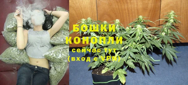 метамфетамин Богданович