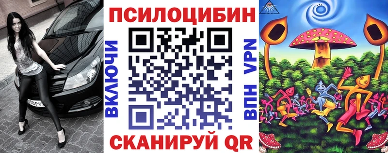 Псилоцибиновые грибы Psilocybine cubensis как найти Псков