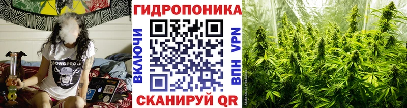 как найти закладки  Псков  Шишки марихуана Ganja 